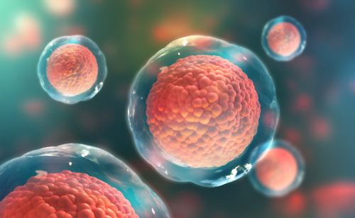 Exosome Tedavisi